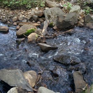 L’eau douce : On en manquera ?