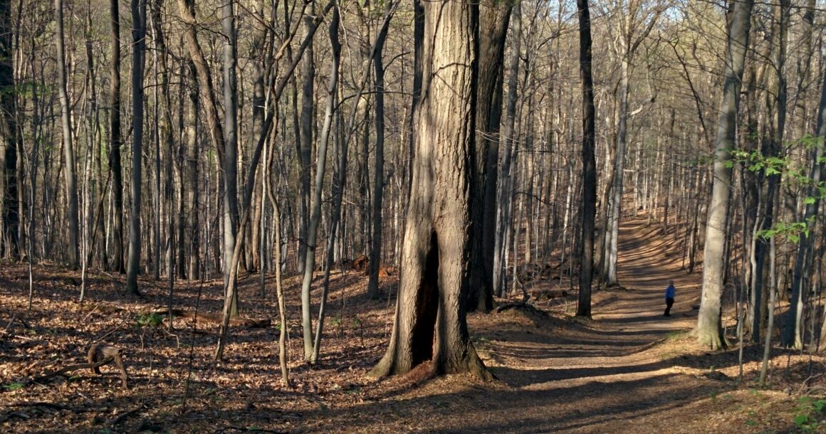 La lumière a changé sur la montagne