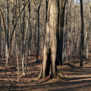 La lumière a changé sur la montagne