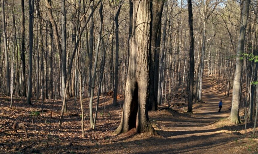 La lumière a changé sur la montagne