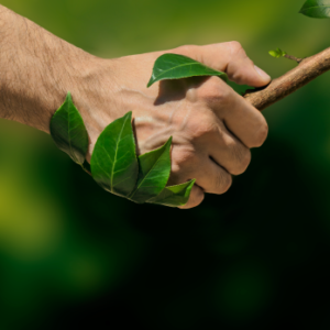 L’engagement citoyen envers les milieux naturels