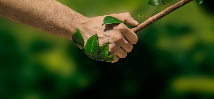 L’engagement citoyen envers les milieux naturels