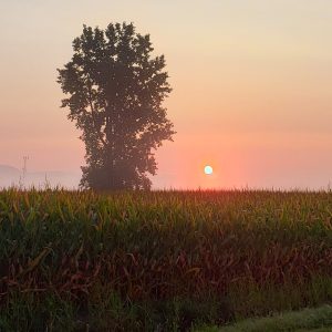 L’écoanxiété : que faire ?