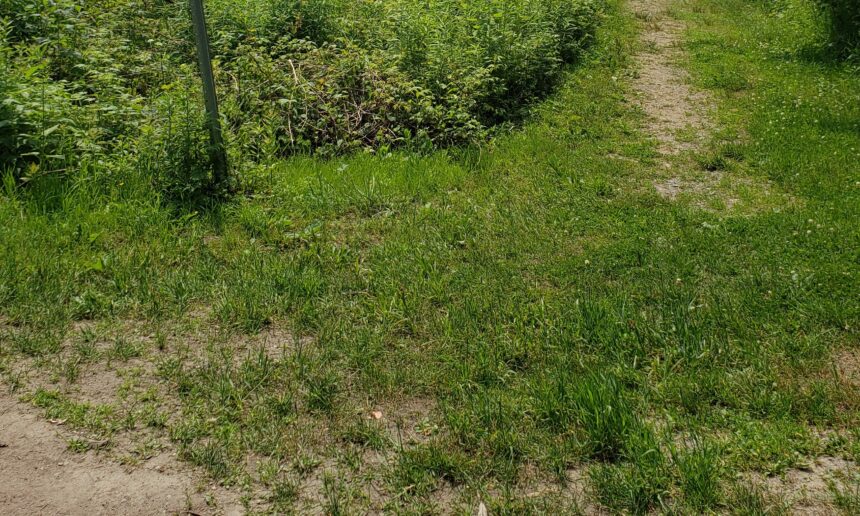 S’amuser tout en respectant la nature