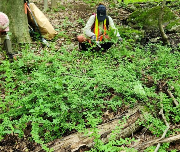 Le contrôle des PEE : un excellent début