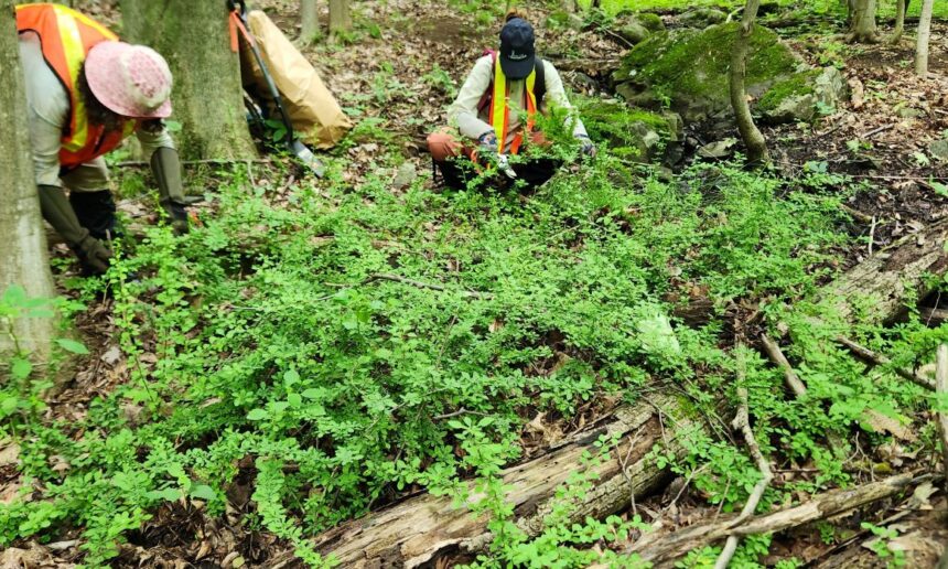 Le contrôle des PEE : un excellent début Le contrôle des PEE : un excellent début