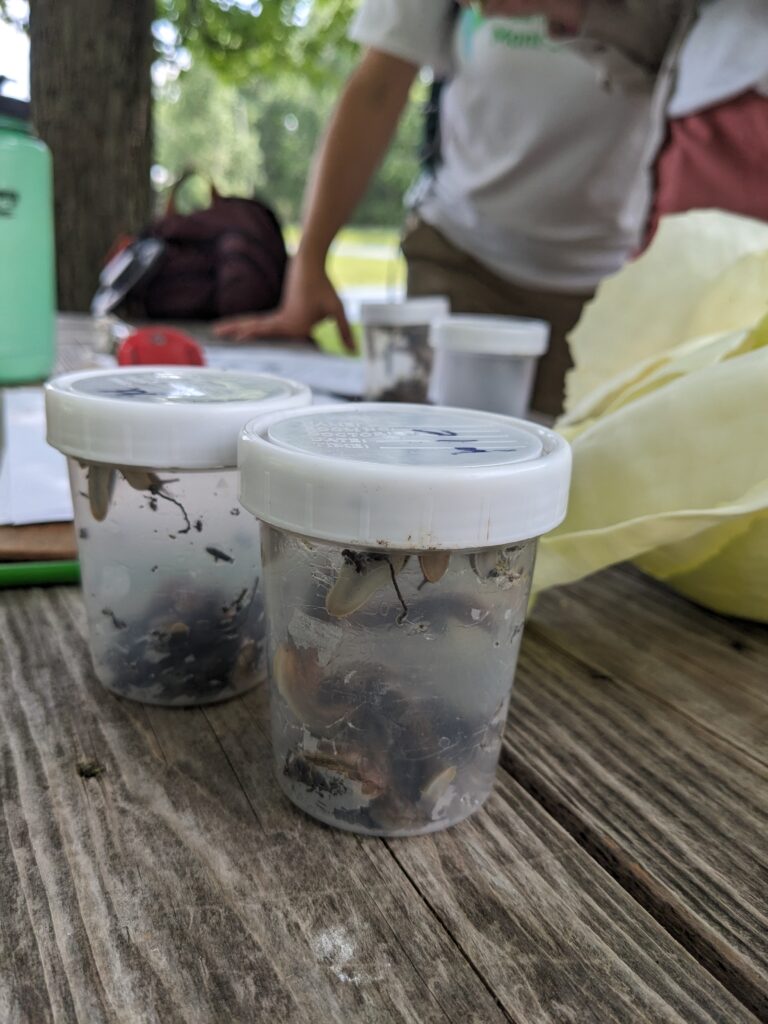 PXL_20250611_182309848 (1) (1)