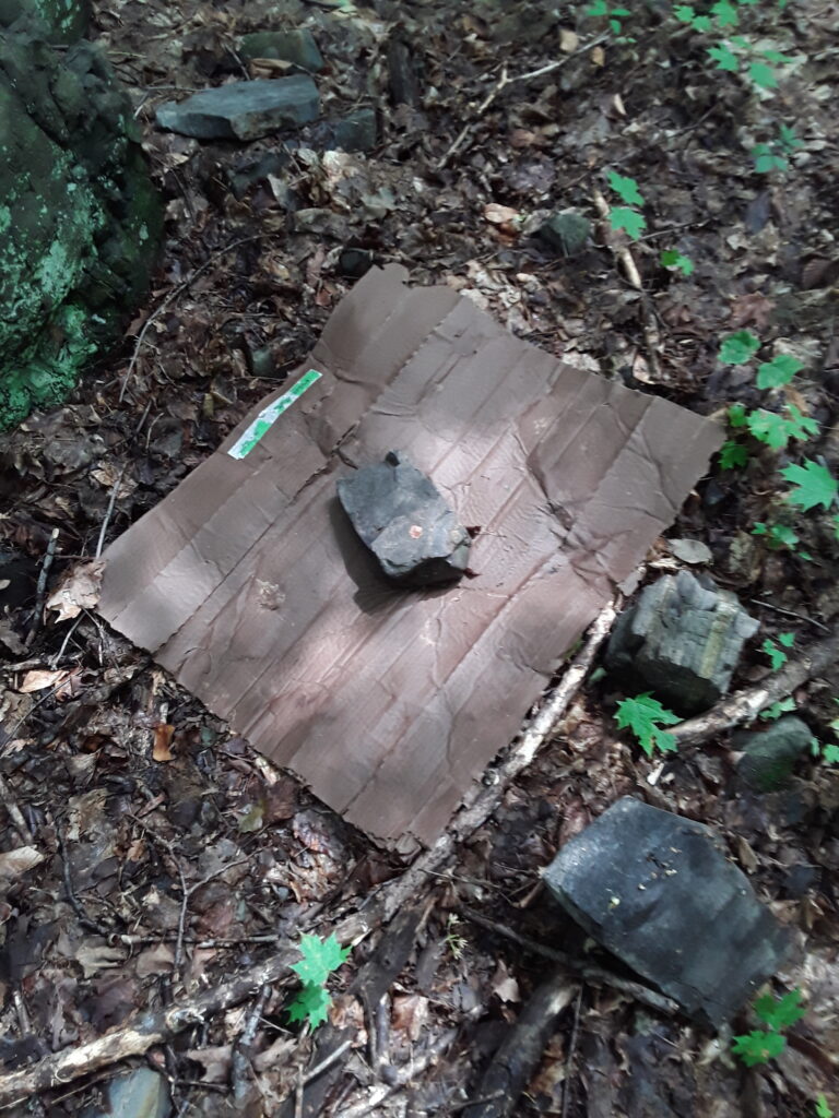 piege-loc_20250708130257442